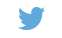 Twitter Icon